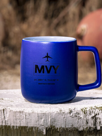 MVY Mug